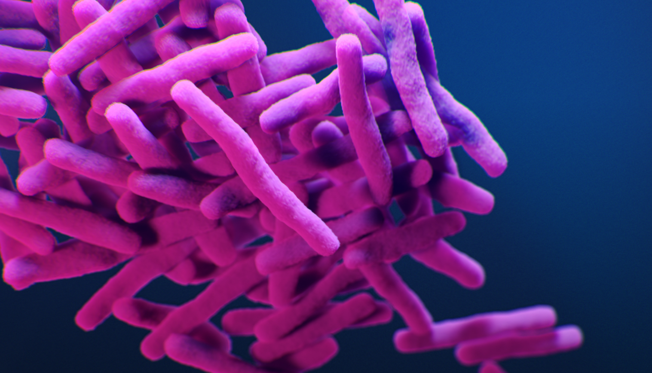 "A computer animation close up of a clump of pink rod-shaped bacteria"