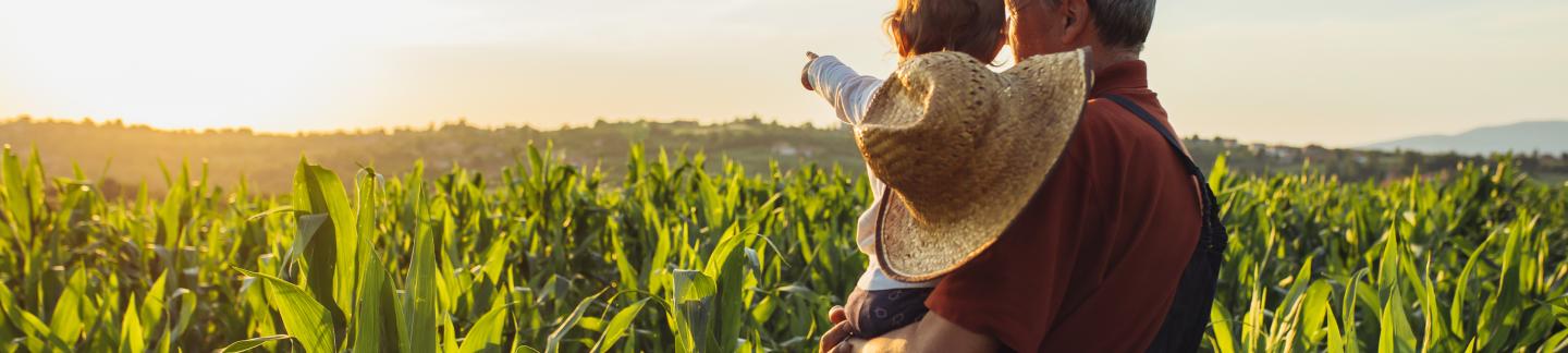 Man holding a child in a cornfield at sunrise