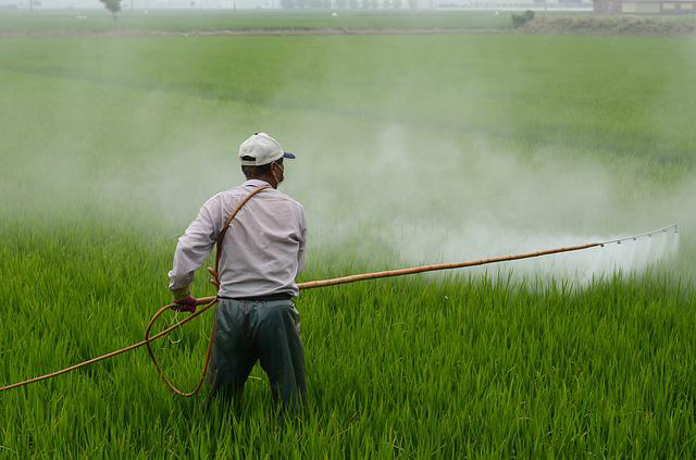 Trabajador agrícola rociando pesticidas en un campo de cultivos.