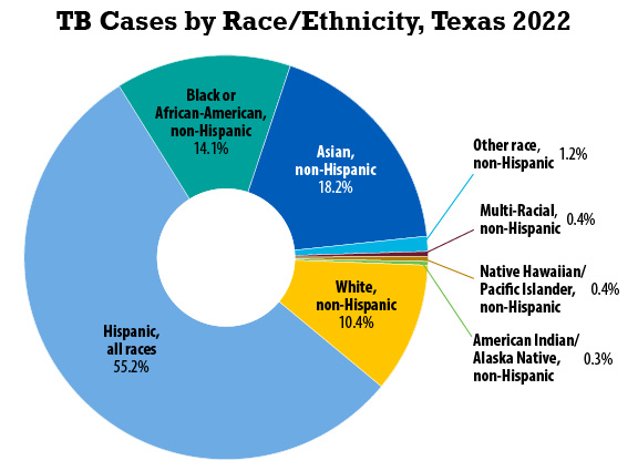 TB Case Distribution by Race/Ethnicity, 2022