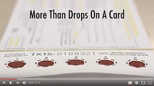 Blood samples on a newborn screening blood spot card. 